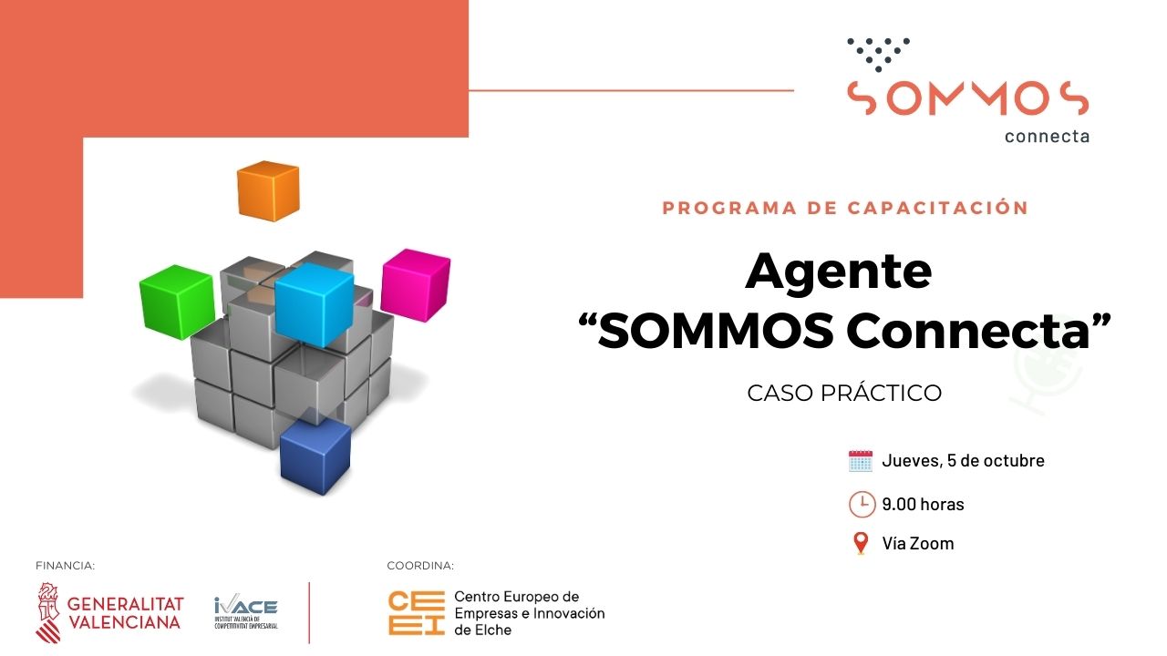 Programa "Agentes SOMMOS Connecta" - Sesin prctica